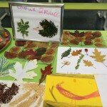 14572147_1255691234503580_1041797133478317673_n