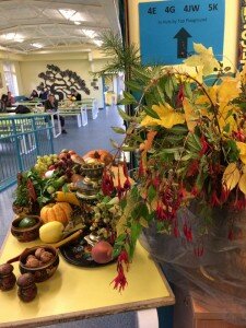 14691128_1255690804503623_9005022138239022998_n