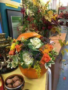 14729370_1255706677835369_5754877246292027416_n