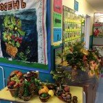 14731139_1255690861170284_631118354916757748_n